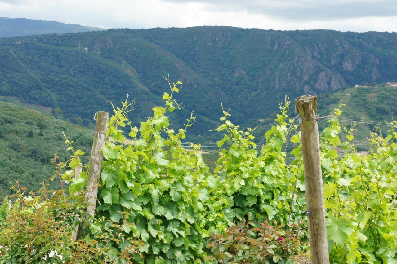 شقة O Muino Casa Ferrador Ribeira Sacra Barantes المظهر الخارجي الصورة
